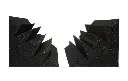 IMG-20190529-WA0067.webp
